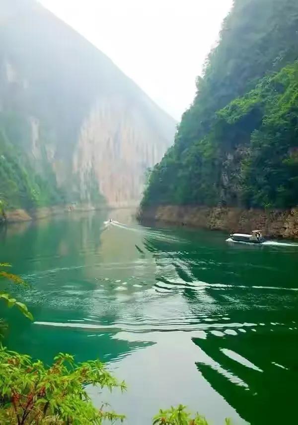 我家最爱的凉拌菜,拿手菜的做法凉拌菜