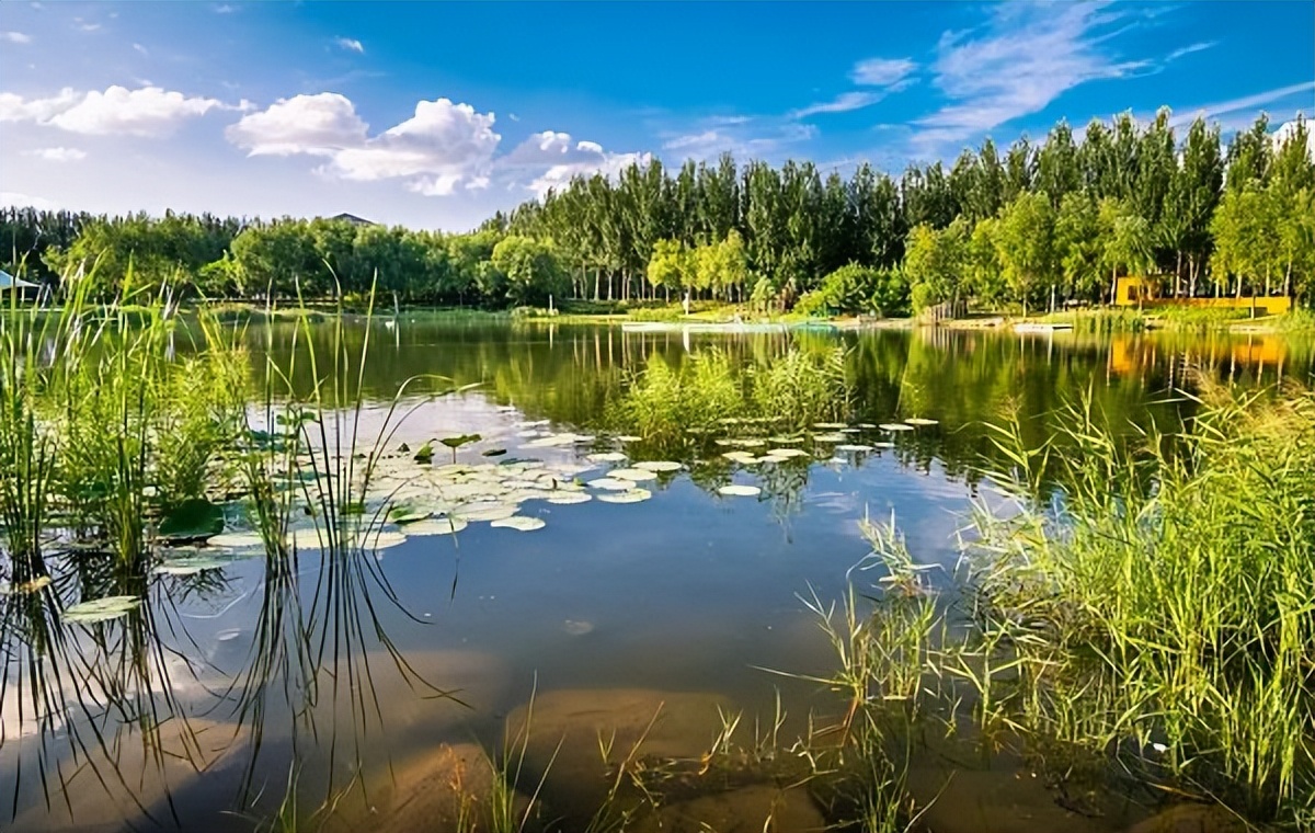 全国最容易迷路的985大学，大到里面有座城市