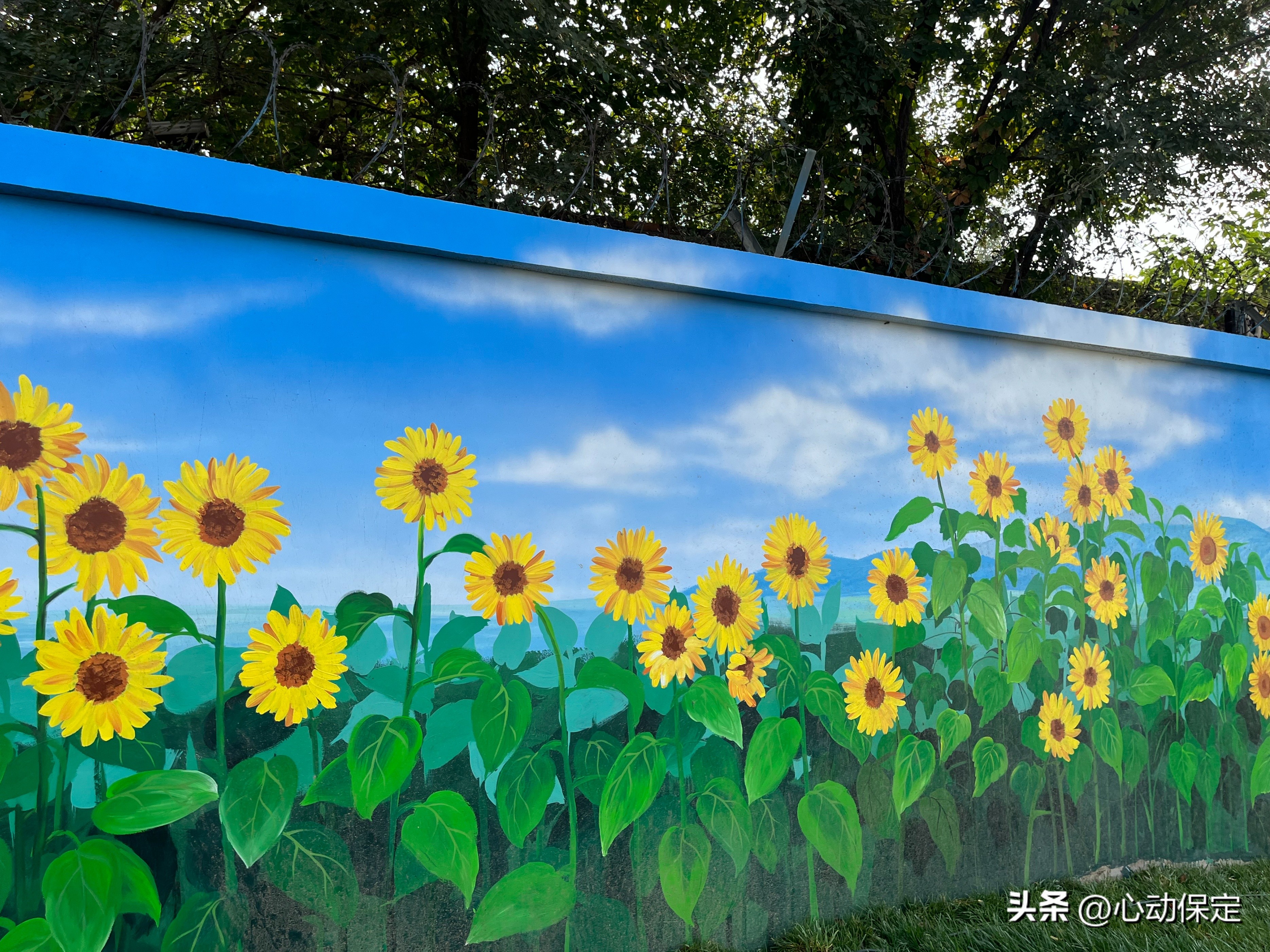 一湾碧水穿城过一幅美景入画来,一湾碧水潺潺