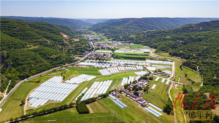 高质量党建引领新蓝图,党旗引领促发展争先创优提效能