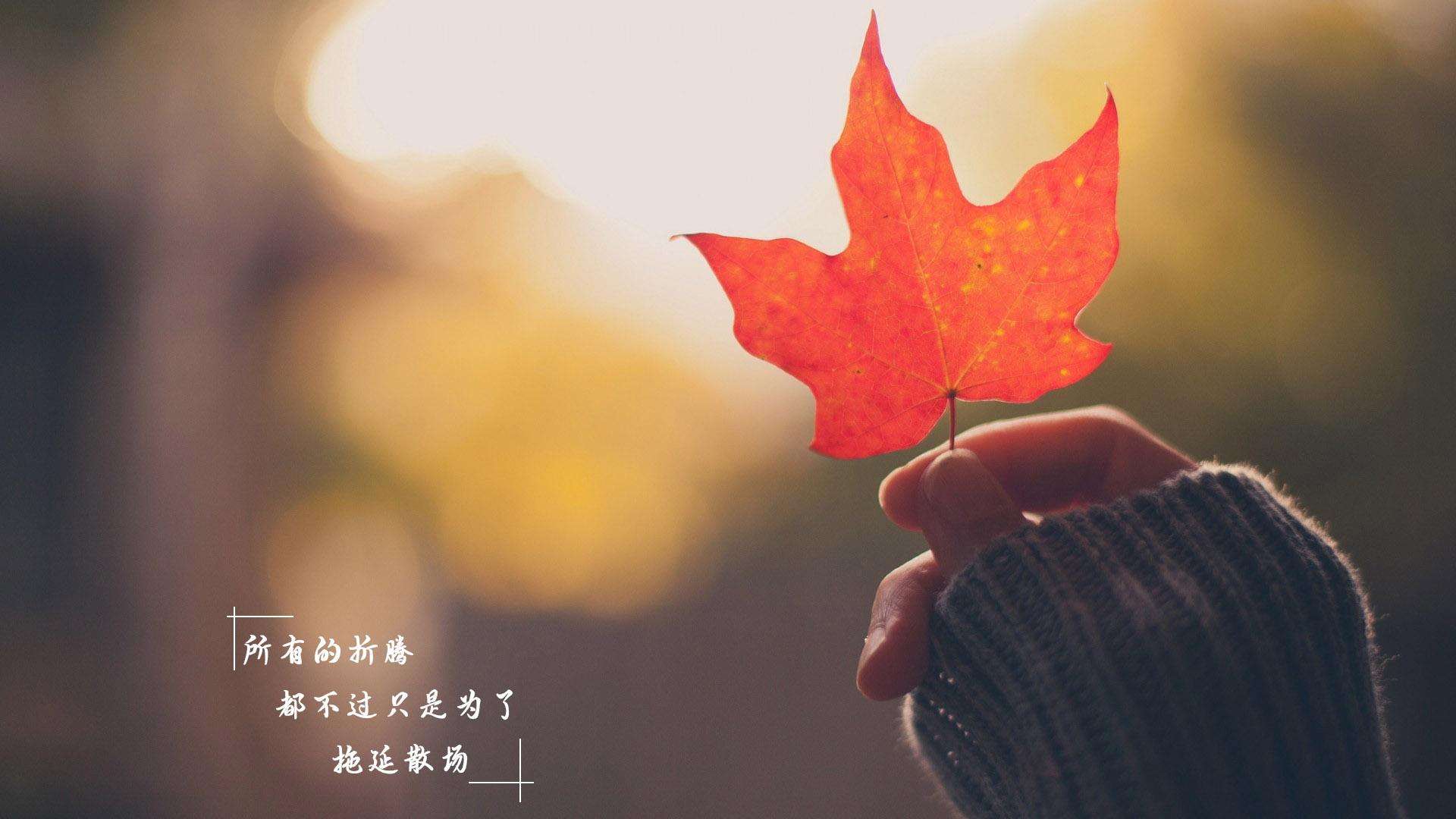 好学微客是正规培训机构吗,微客课程靠谱吗