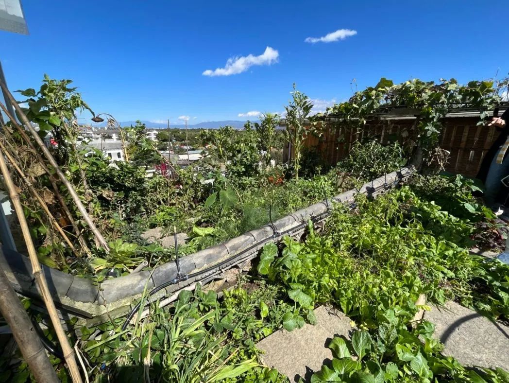 食物故事纪录片,食物故事大全完整版