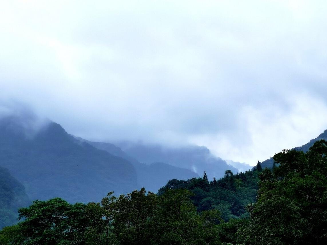 李商隐的夜雨寄北表达什么,唐诗三百首夜雨寄北李商隐