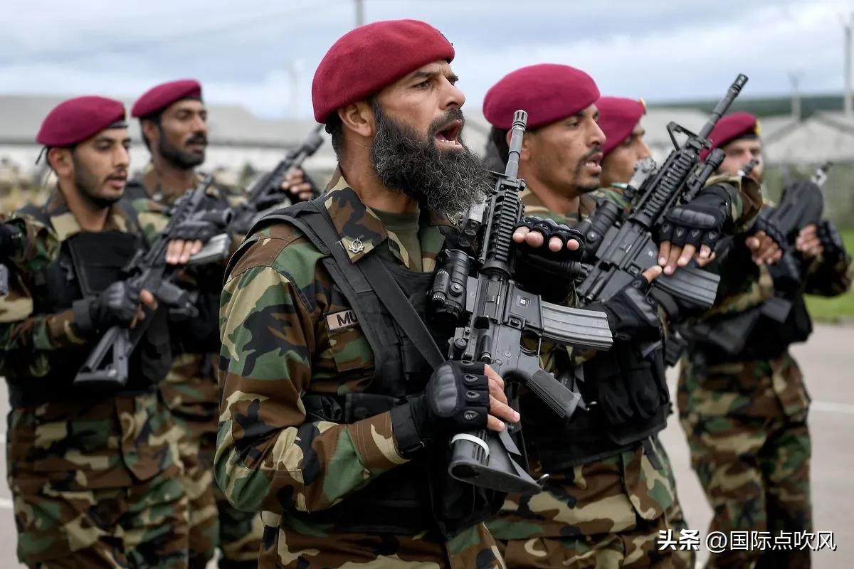 巴基斯坦人智商,巴基斯坦军事实力为什么这么高