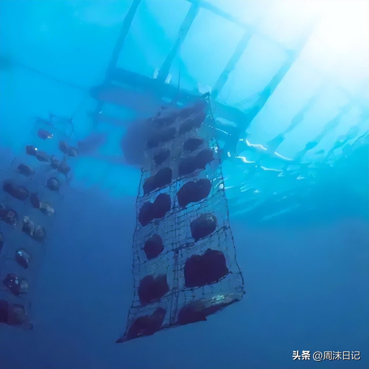 戴什么珍珠最有气质,什么气质适合戴珍珠耳钉