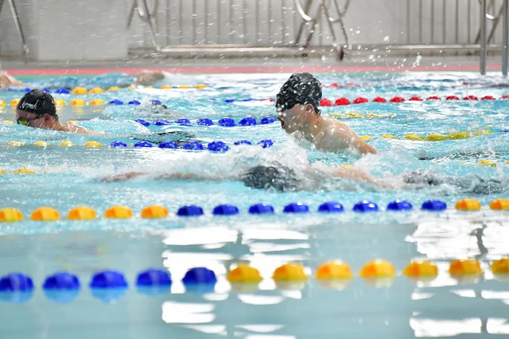 第71集团军“中野虎师”：“虎”为荣誉名，虎气霸屏！