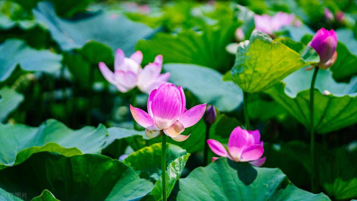 好书推荐《私密》：我供我哥上大学，他却抢了我的女人