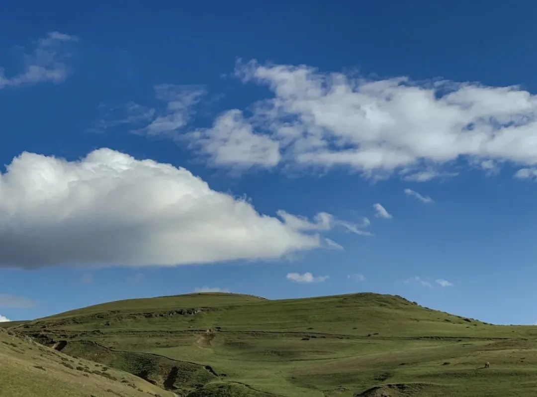 昭通大山包一览众山,昭通市昭阳区大山包乡