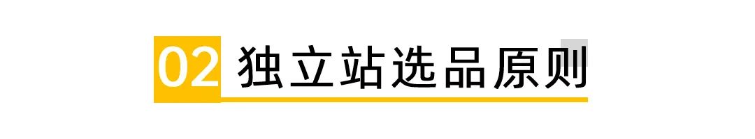 独立站的运营技巧是什么,独立站运营初期看什么数据