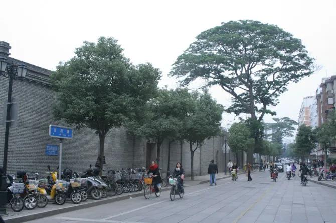 美丽的三坊七巷,我眼中的三坊七巷作文