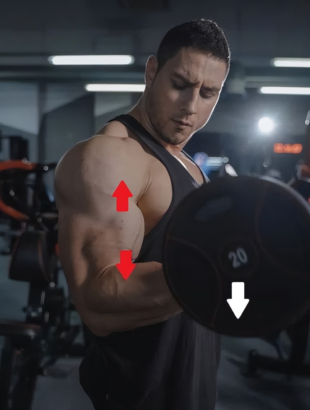 健身增肌好处的简介,锻炼和健身增肌的原理