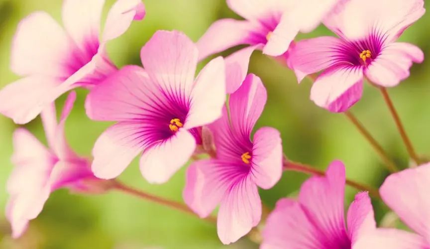 优美而有深度的句子,100条又短又好的好句子