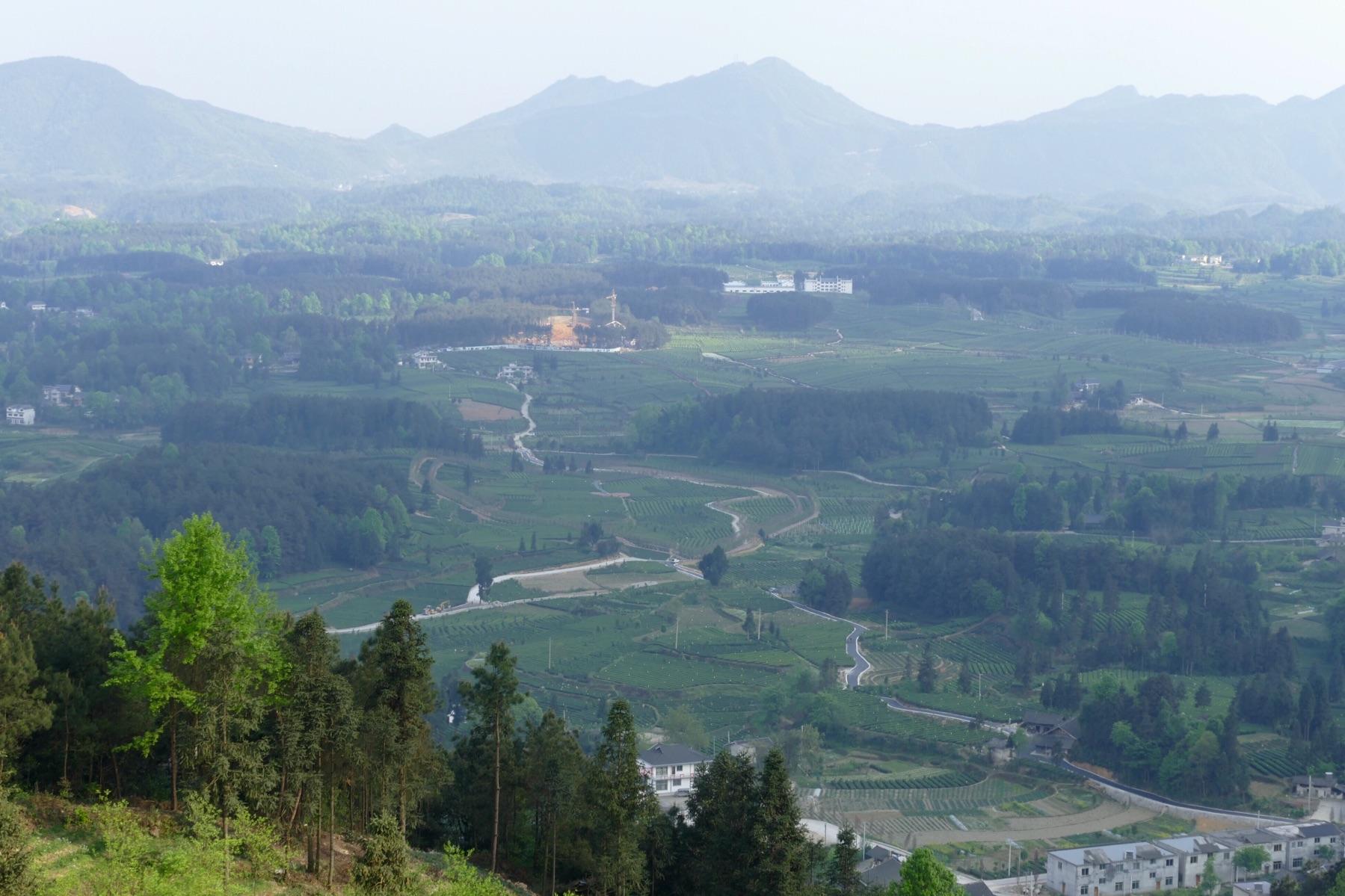 游击队政委要枪毙逃兵，陈毅大怒：你跟*动反**派有何区别