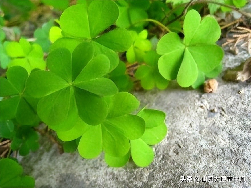 买卖合同范本格式,买卖合同范本正规版