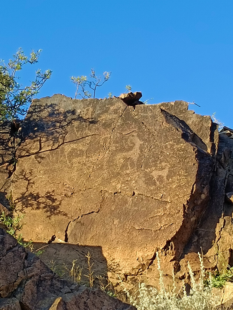 *疆新**兵团四师七十三团布库尔萨依岩画竟如此惟妙惟肖