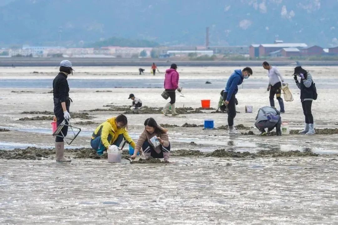 崂山旅拍短片,崂山景点拍照攻略大全
