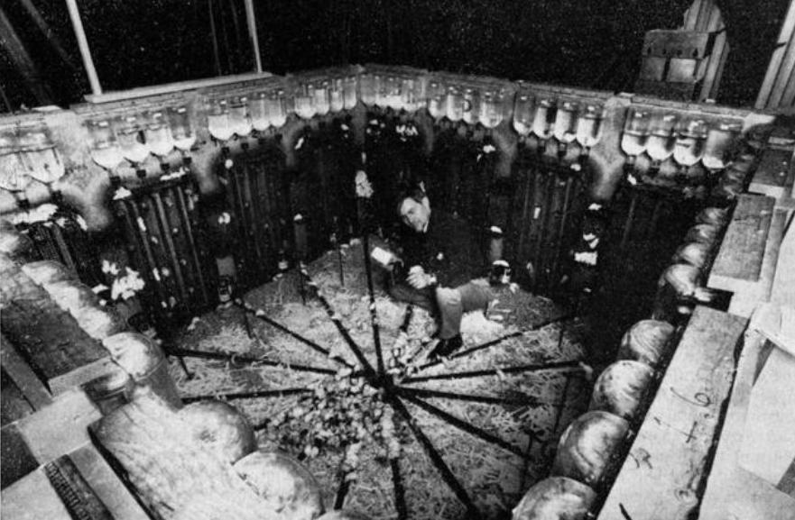 8只白鼠繁衍实验,美国8只老鼠的实验