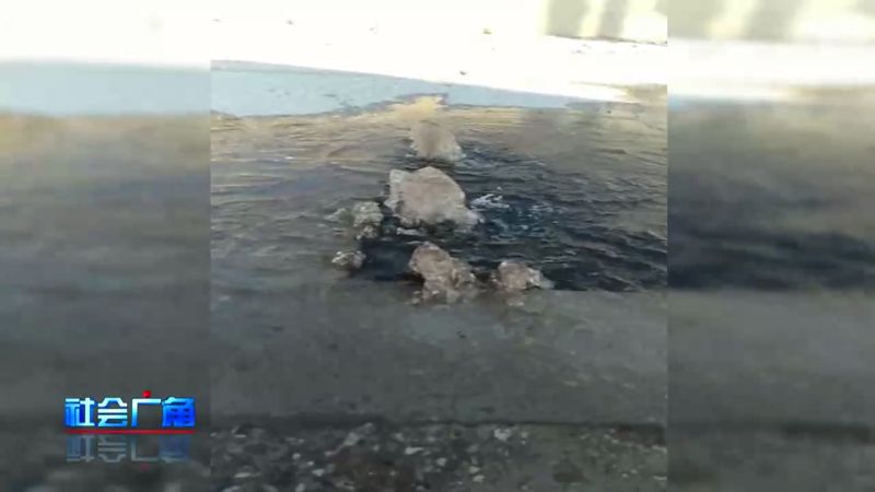 水质变浑,水质变清了是什么原因