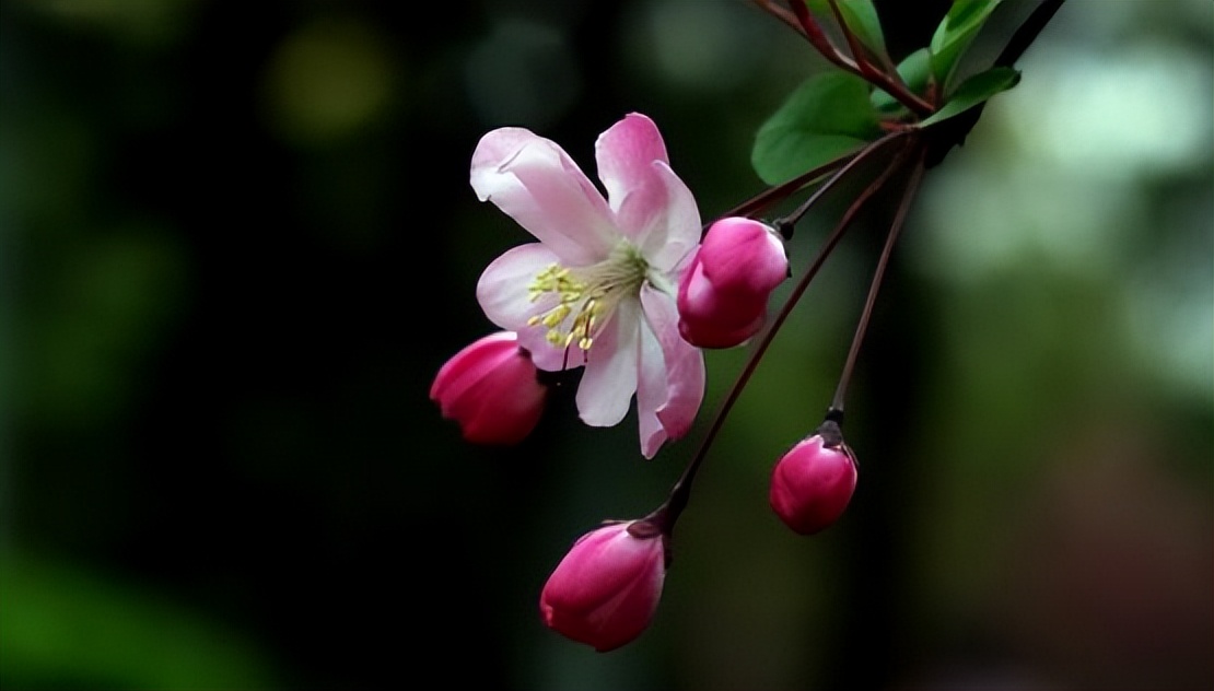 什么样的教育方式才能让孩子成功,成功父母教育孩子的方式