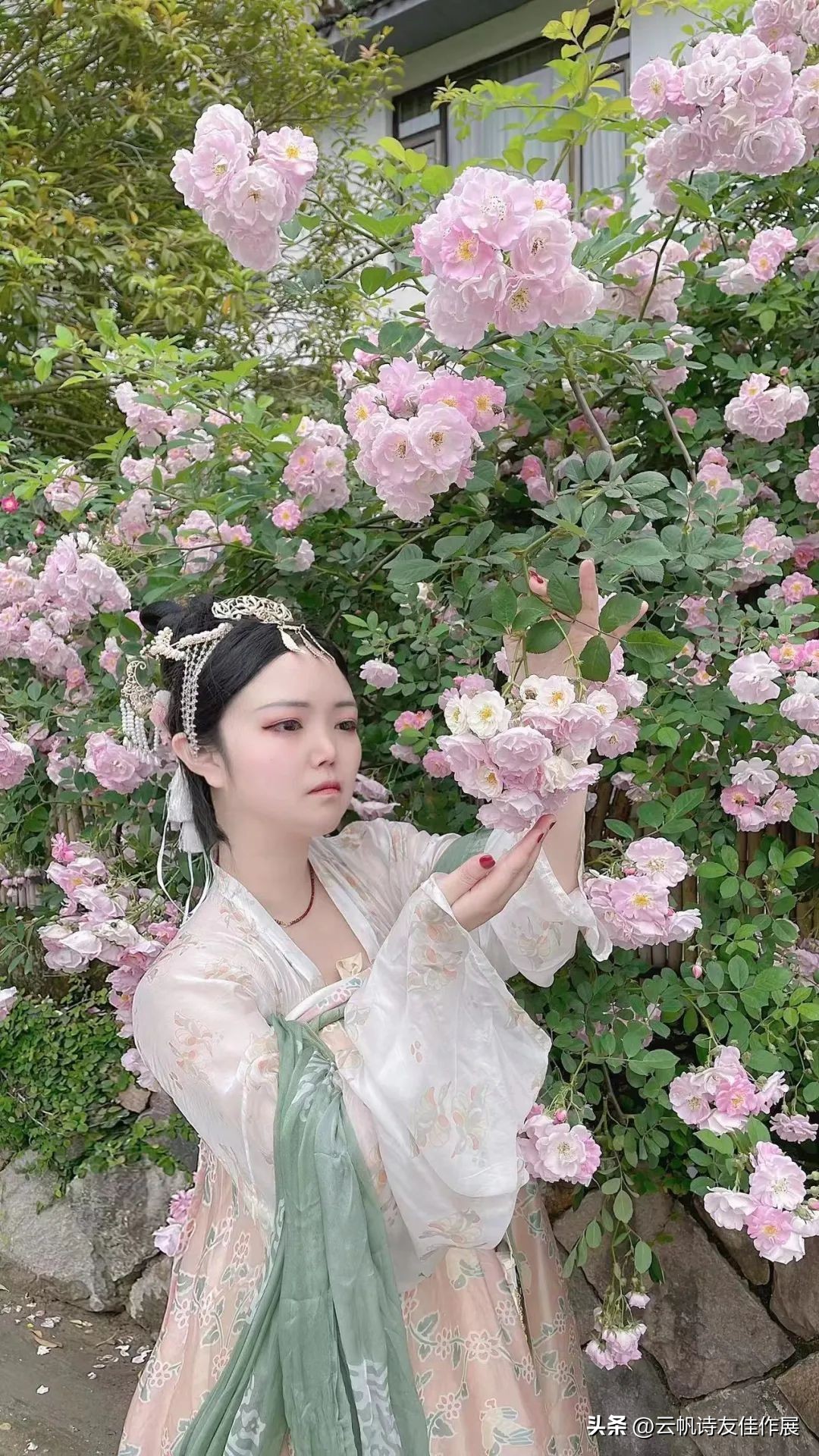 云帆诗会520期佳作选评,云帆诗会2021年第40期诗词选