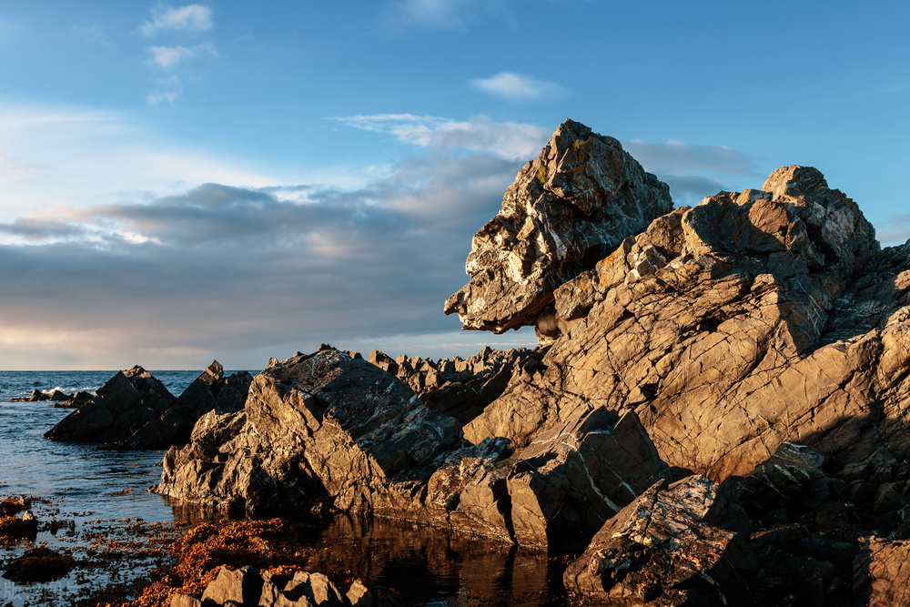 女性特质应该被定义吗,女性不是天生的而是后天被塑造的