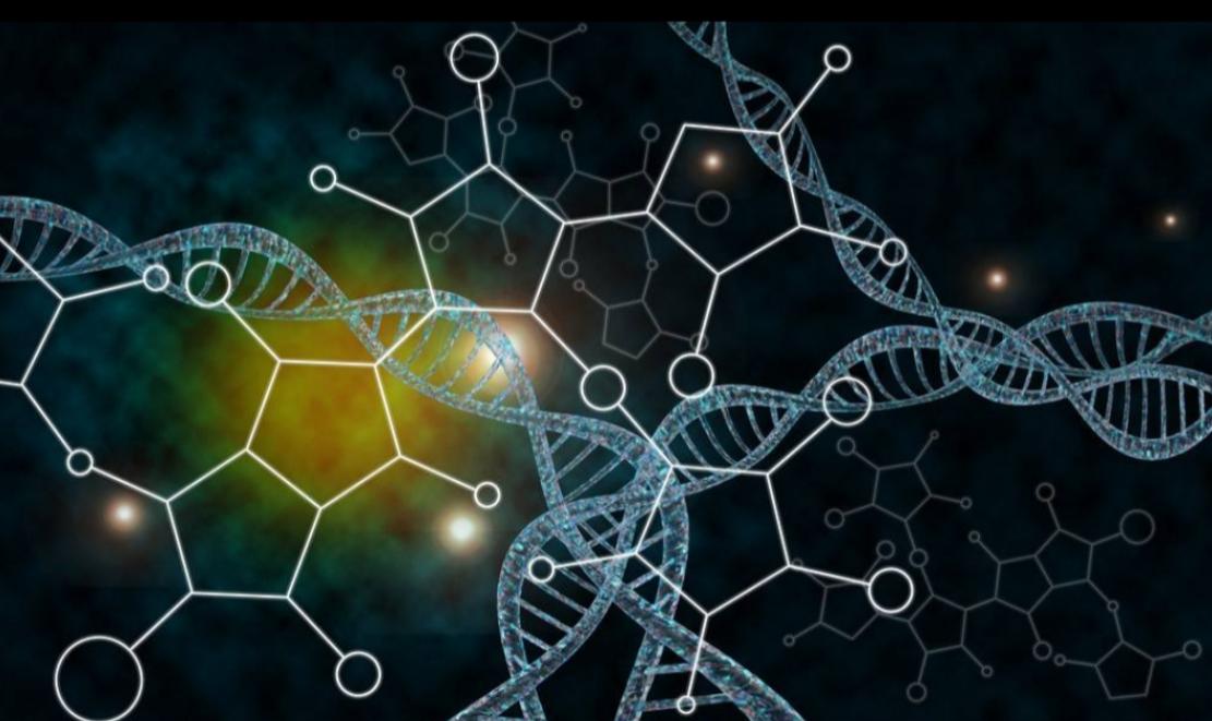 日本人兽杂交实验被允许，这是否违背伦理常纲？是创新还是灾难？