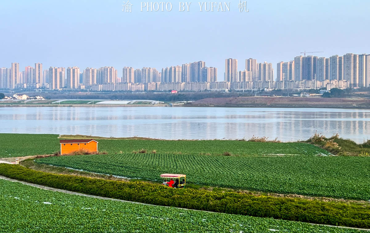 重庆潼南区有哪些好玩的,重庆潼南生态公园