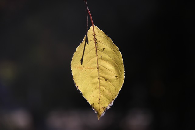 一个人越来越不想说话是有病吗,一个人变得不想说话不想和人交往