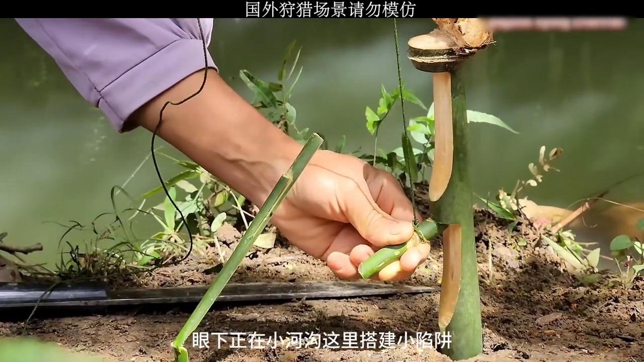 说了你可能不信的说说,说了你可能不信的句子