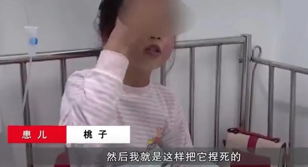 被毒虫咬后需谨慎,被毒虫咬后的有效处理