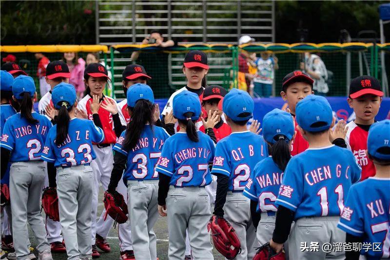 石室教育集团,成都石室中学教育集团学校