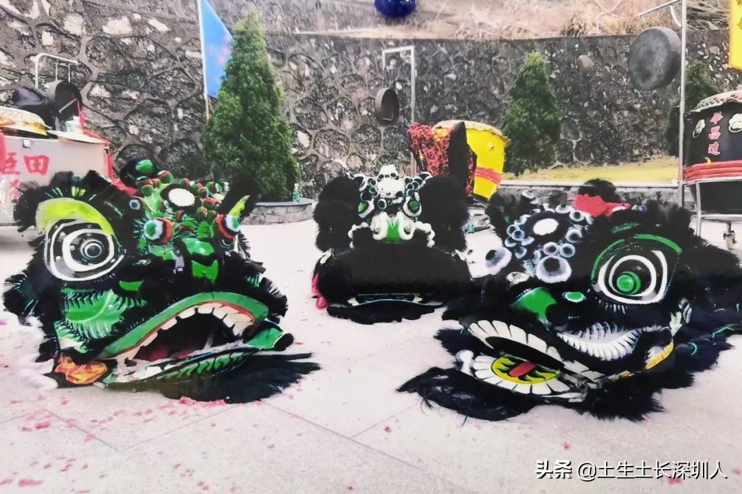 醒狮和瑞狮的区别在哪,醒狮的运动特点