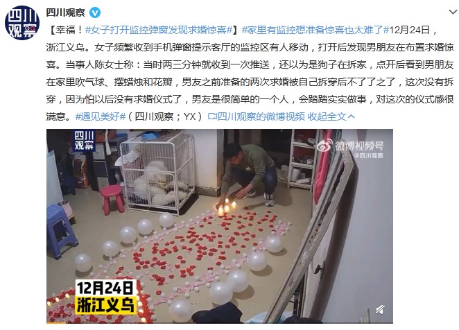 家里养猫用什么监控,养猫家庭用什么监控宠物