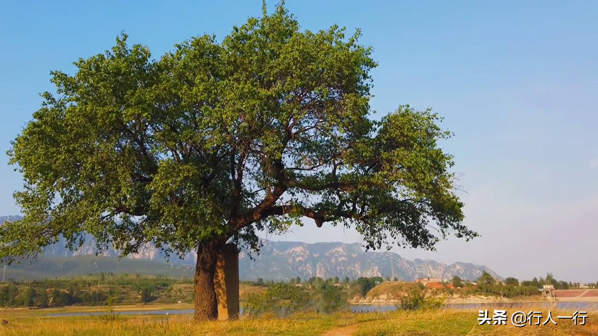 郑州周边夜晚露营地推荐,郑州露营旅游地点推荐
