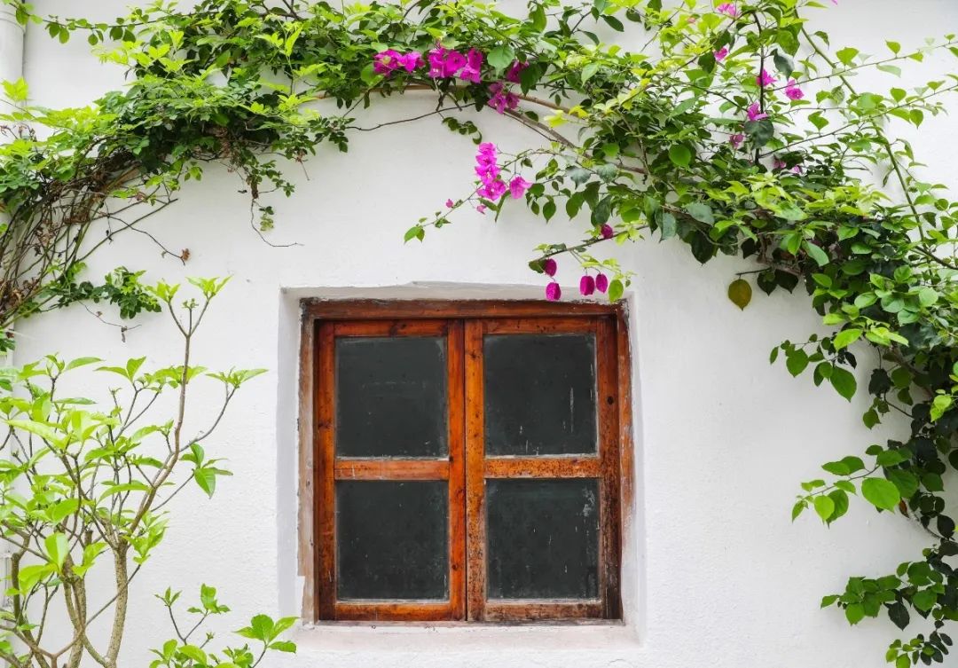 深圳客家古村落有哪些值得看的,深圳客家古村落旅游