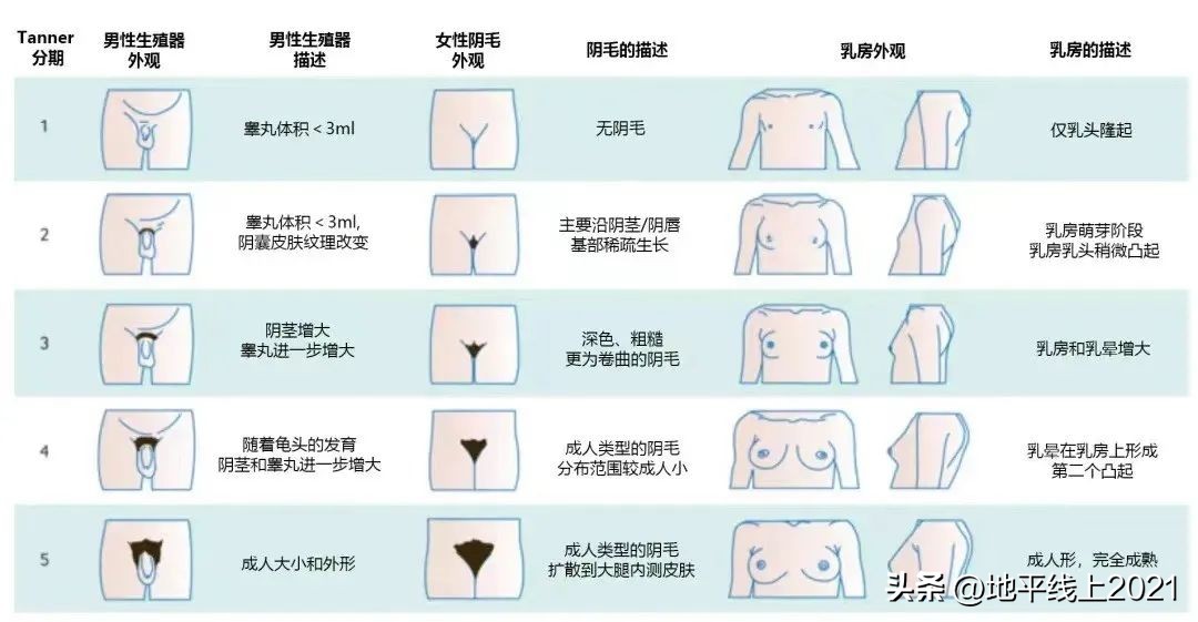 女孩子的青春期会持续多久,女孩青春期得几年