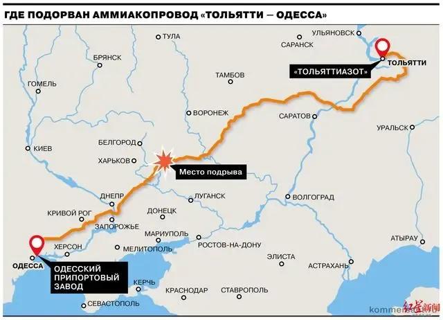 最近发生全球经济危机的可能性,世界粮食危机最新消息