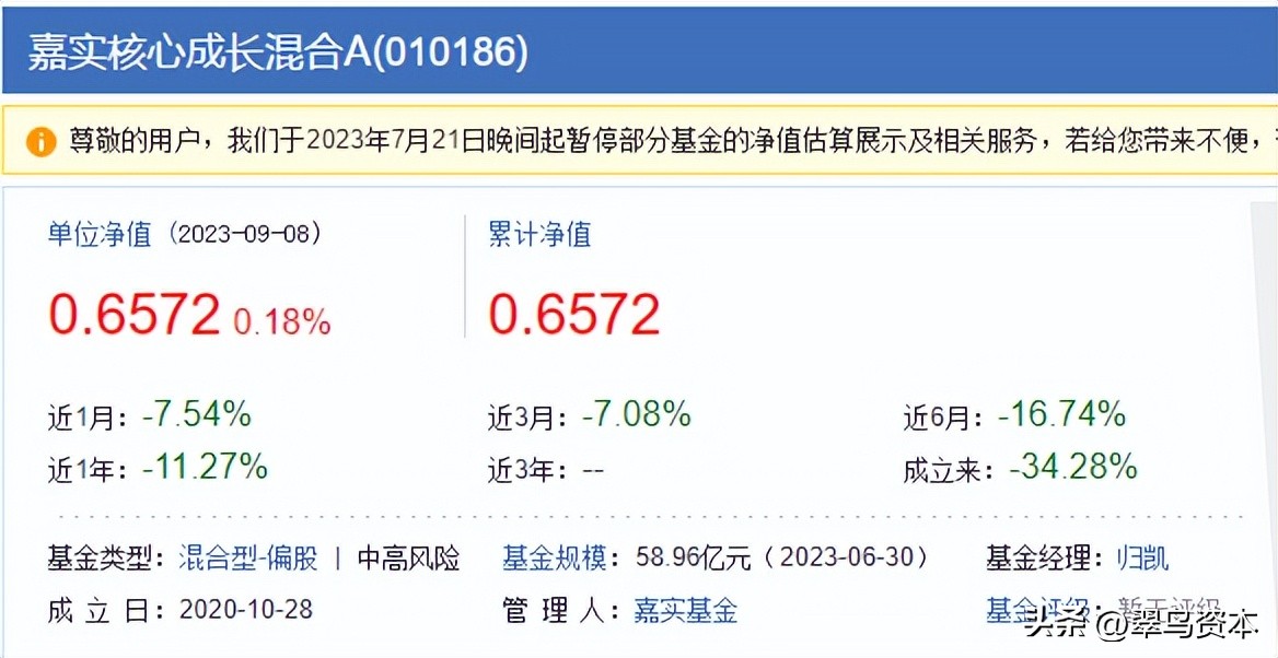嘉实归凯基金最近表现太差,嘉实基金归凯投研