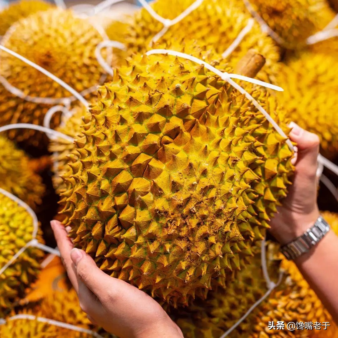 卖榴莲顺口溜大全,榴莲挑选顺口溜
