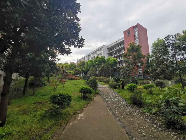 新洲区一中好吗,新洲一中情况如何