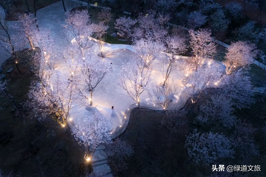 樱花树下的约定字体设计,樱花树下的约定完美国度