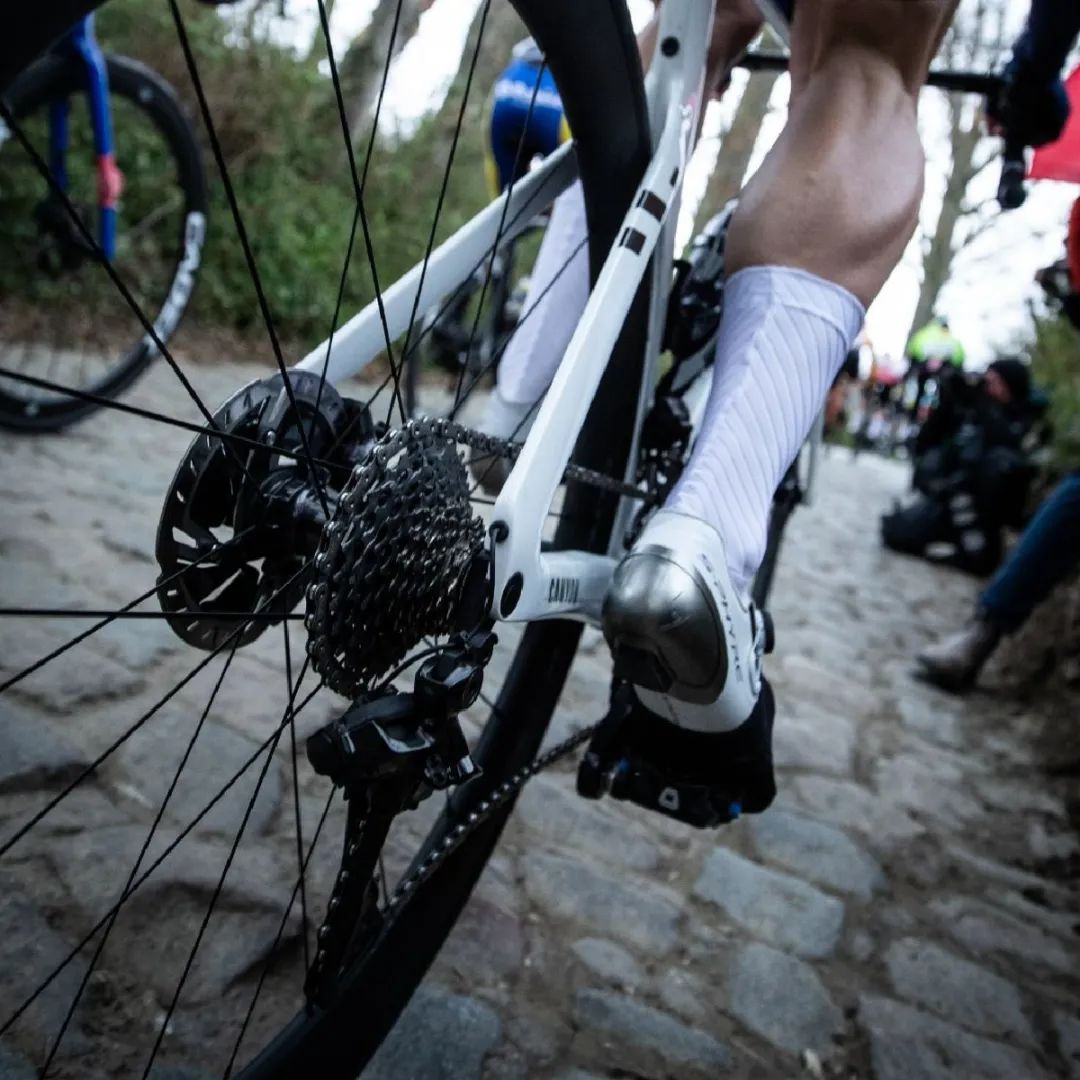 自行车变身“高大上”：两万元的抢不到，五百元的卖不动