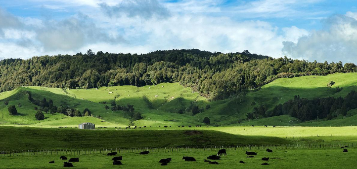 你不知道的冷知识西伯利亚,新西兰冷知识100个