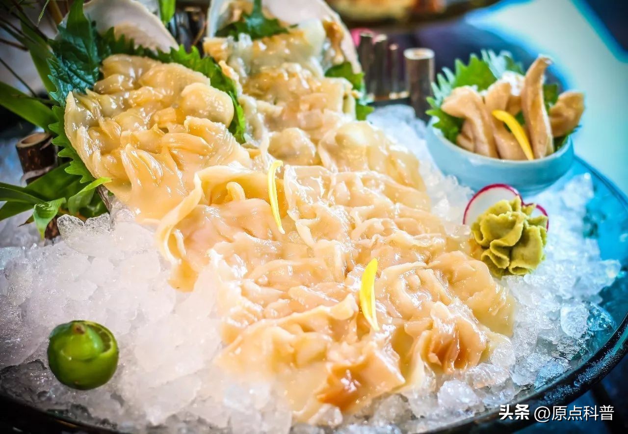 世界十大顶级海鲜排名,世界上十大最贵的十种海鲜