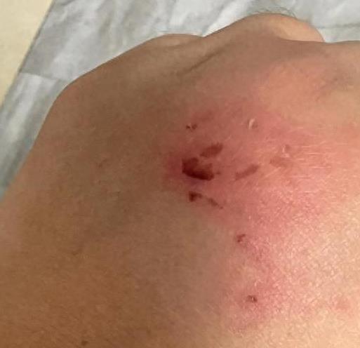 自述牵狗进电梯被邻居殴打女生道歉：账号设私密，主页发致歉文本