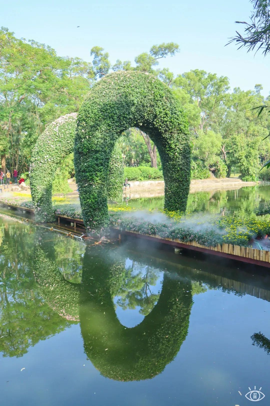 深圳3月14个赏花胜地全部免费,深圳清明节踏青赏花好去处