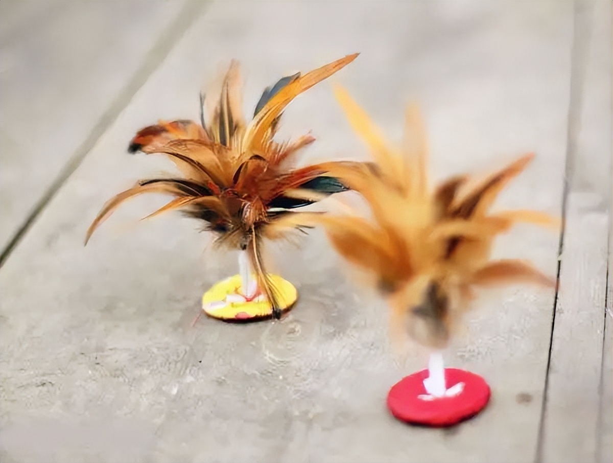 男生千万不可玩的小游戏,男生不许玩的小游戏