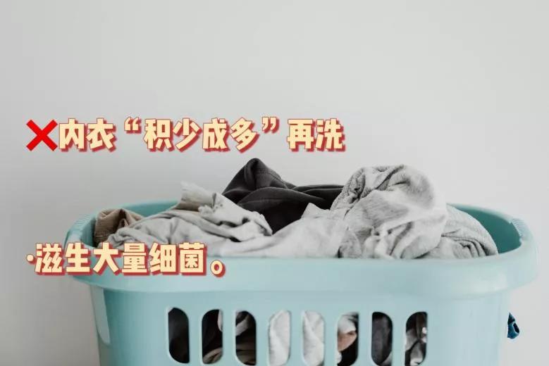 柚妈科普|内衣洗不净,百万细菌跟着你