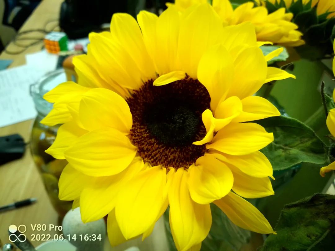 不到2000元买四部手机,不到2000块的旗舰机