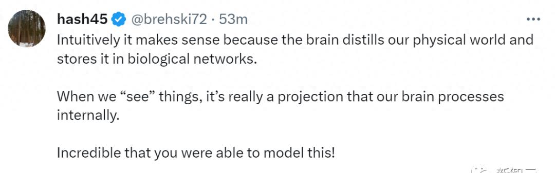 探秘LLM：令人惊叹的空间时间理解能力